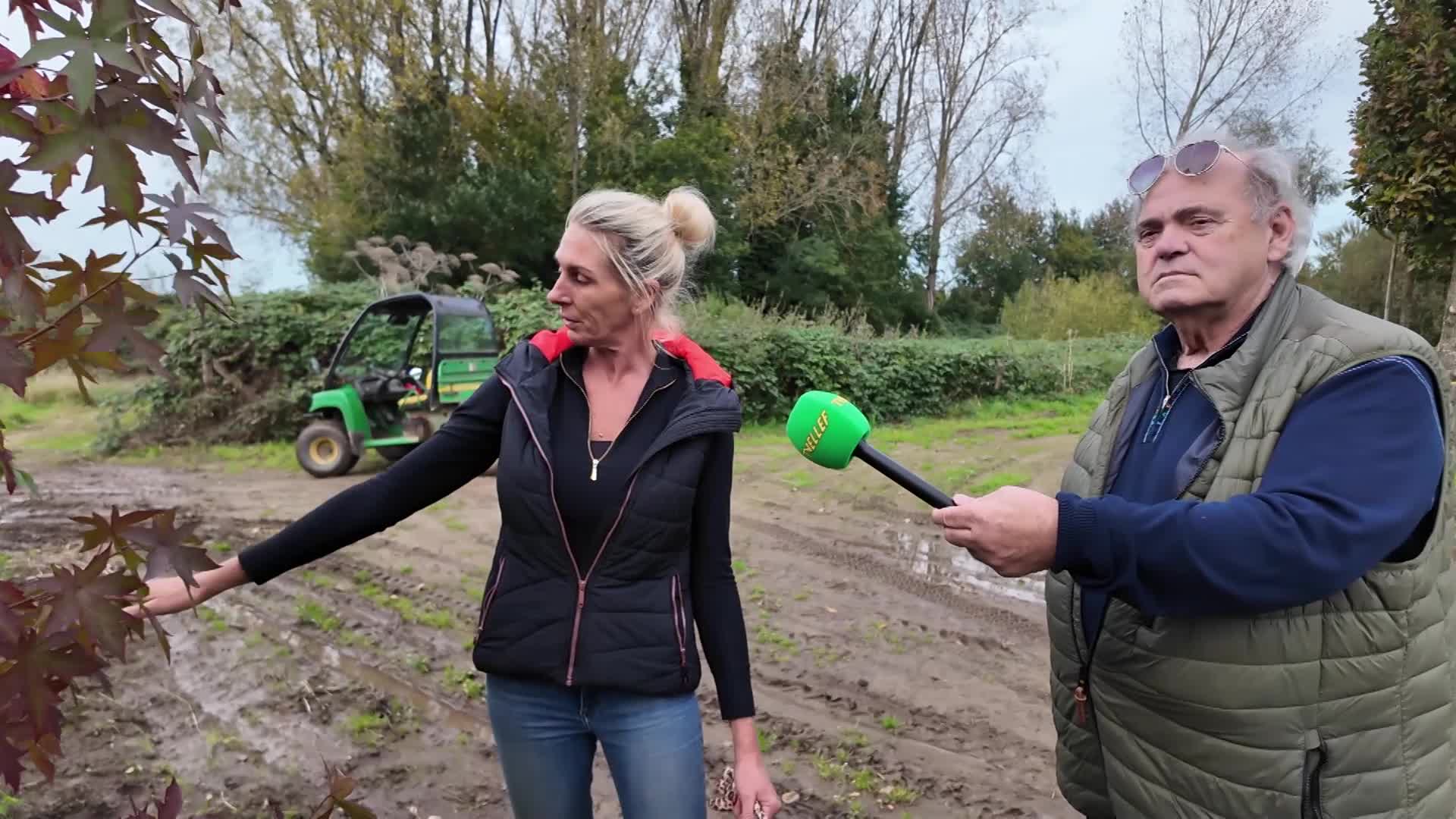Herfst In De Kwekerie