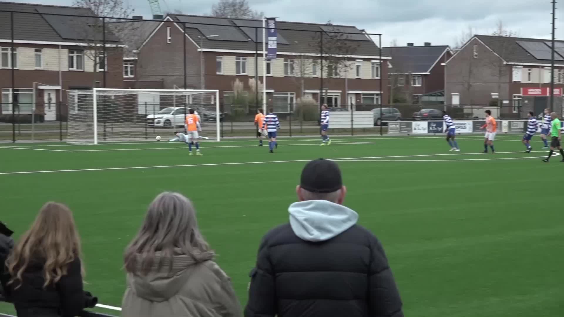 Leeuwen - Linne | Samenvatting