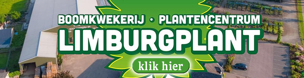 Limburg Plant
